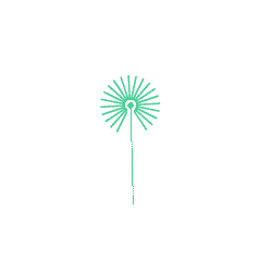 laser